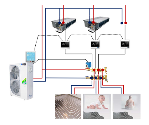 香蕉视频网站在线观看两联供