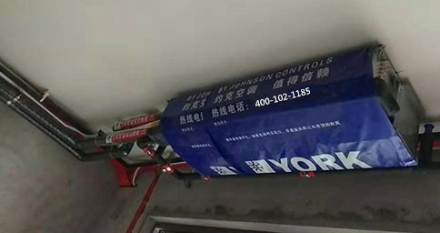 香蕉视频网站在线观看两联供