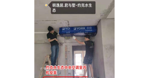 约克香蕉视频网站在线观看两联供